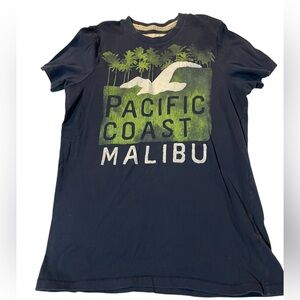 Hollister Navy Graphic Tee